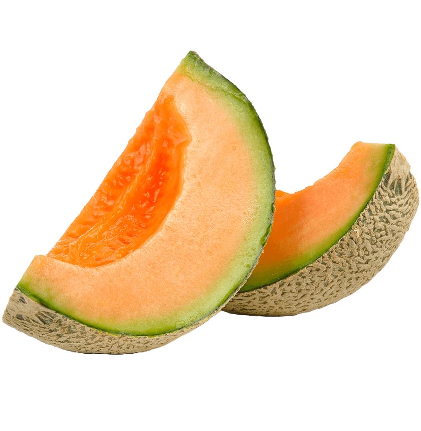 Cantaloupe Melon 1ct